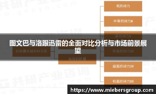 图文巴与洛跟迅雷的全面对比分析与市场前景展望
